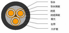 3*2.5，3*3，3*4，3*6，3*10，3*16，3*25屏蔽電纜結構圖