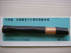 DJYPVP 2*2*0.75 分屏蔽、總屏蔽電子計(jì)算機(jī)屏蔽電纜