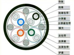 DJYJVP5  12*2*1.0計算機(jī)屏蔽電纜